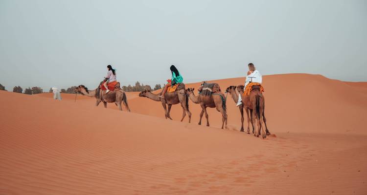 3 jours - Circuit au Sahara - Marrakech à Fès via Merzouga, Maroc - Escorted Morocco Tours 10