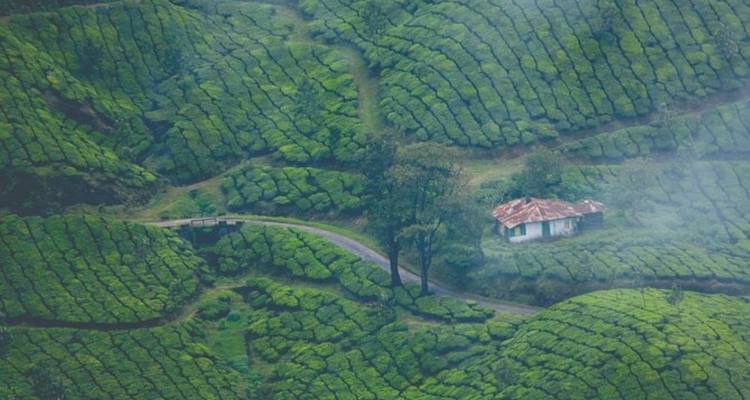 Forfait touristique au Kerala pour 6 nuits et 7 jours - Zoya Holidays 7