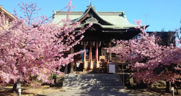 14 jours d'excursion personnalisée au Japon (guide privé et chauffeur) - UME Travel Co. Ltd 1