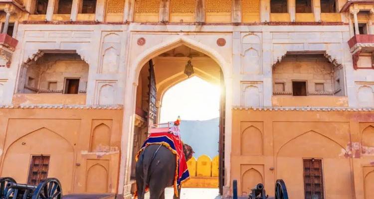 El triángulo de oro de la India con safari de leopardos - World Travel Experiences 7