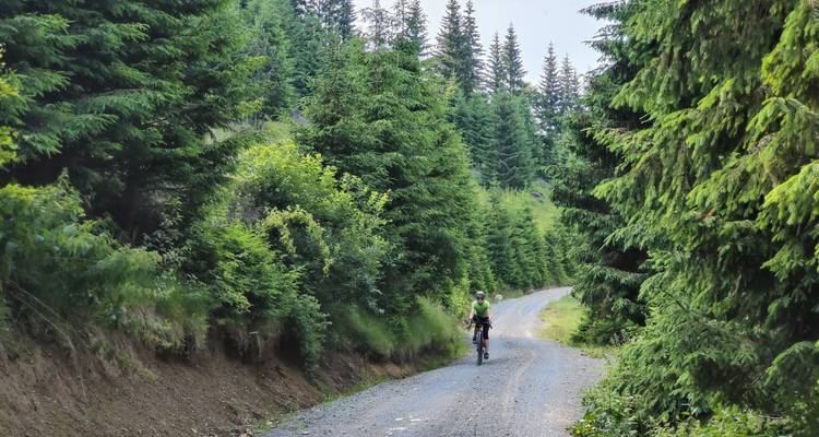 CIRCUIT DE LA GRAVIÈRE DES CARPATES - CarpatBike 7