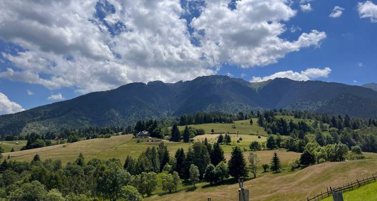 CIRCUIT DE LA GRAVIÈRE DES CARPATES - CarpatBike 8
