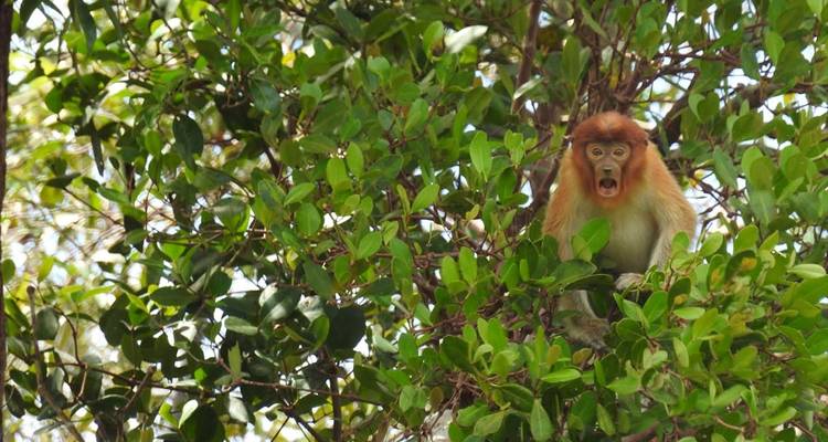 Patrimonio de Borneo en bicicleta - SpiceRoads Cycling 1