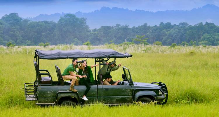 Safari avec des personnes sur une jeep observant la faune.