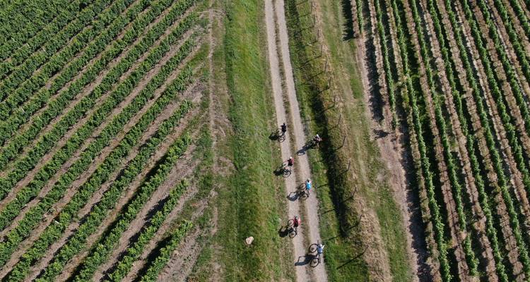 Journées d'évasion en vélo et en vin à Dealu Mare - CarpatBike 1