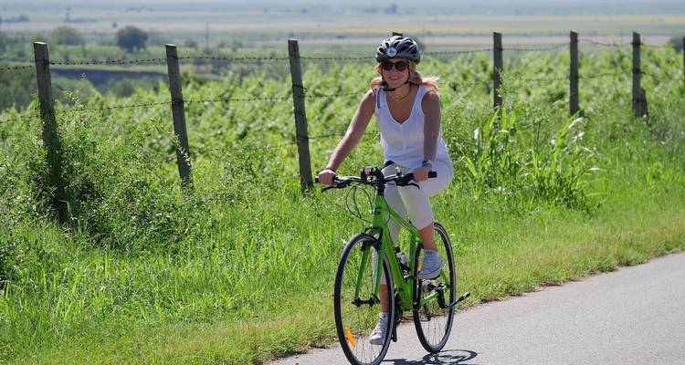 Journées d'évasion en vélo et en vin à Dealu Mare - CarpatBike 4
