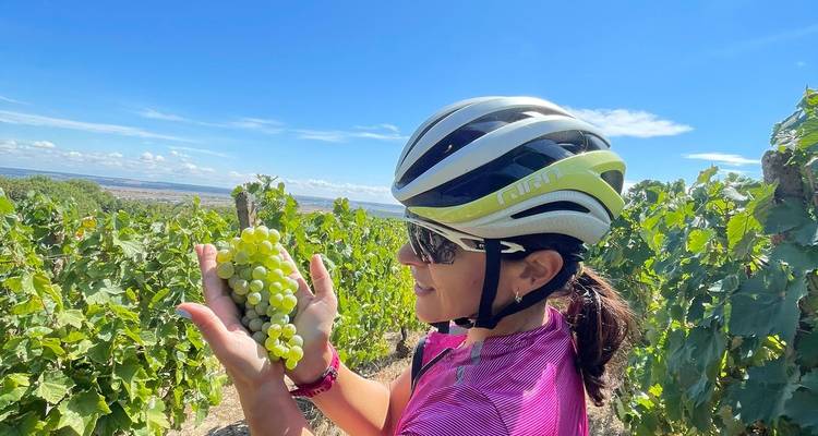 Journées d'évasion en vélo et en vin à Dealu Mare - CarpatBike 6