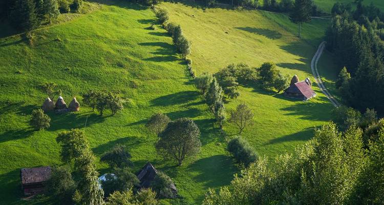 Circuit E-MTB dans les Carpates et les hauts plateaux de Transylvanie - CarpatBike 2