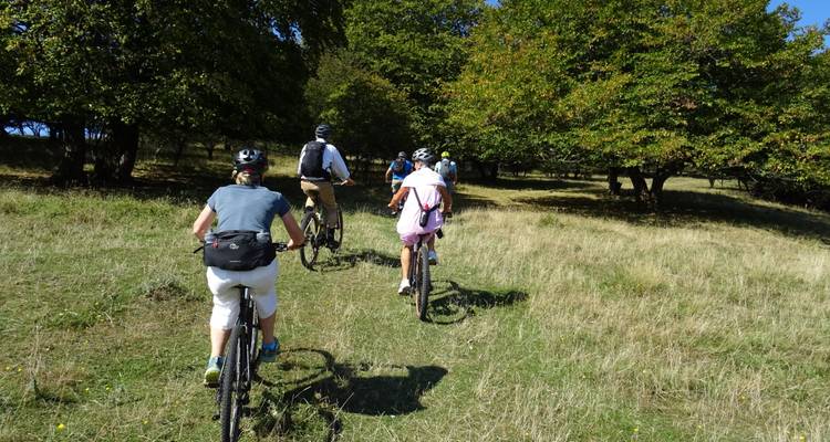 Circuit E-MTB dans les Carpates et les hauts plateaux de Transylvanie - CarpatBike 7