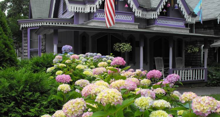 Tesoros de Cape Cod y las Islas, una excursión sólo para mujeres (Grupo pequeño) - Insight Vacations 4