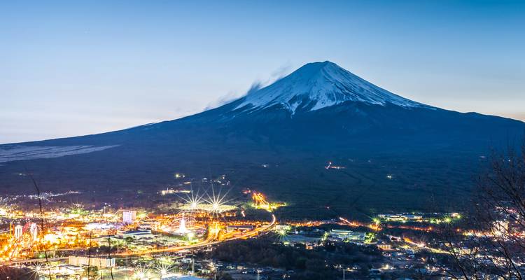 10 Days  Japan Essential Family Tour with Kids (private guide & driver）Customizable - UME Travel Co. Ltd 10