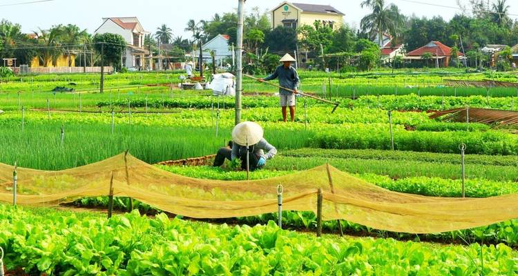 LA VIE AGRICOLE ET LA PÊCHE À VÉLO (6 HEURES) - Ideal Travel Asia 4