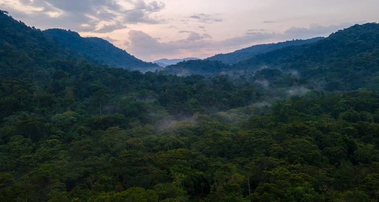 04 Días de Viaje Inolvidable a Ruanda Trekking con Gorilas - GoExplore Safaris 1