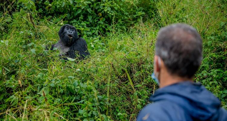 04 Días de Viaje Inolvidable a Ruanda Trekking con Gorilas - GoExplore Safaris 3