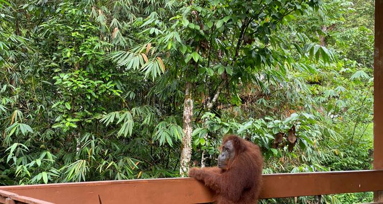 Vacances à vélo en famille à Bornéo - 8 jours et 7 nuits - Paradesa Borneo Discovery 6