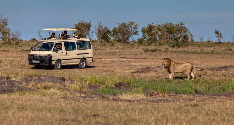 Geluxe: África Oriental: safaris en coche, senderismo de montaña y trekking con chimpancés - G Adventures 2