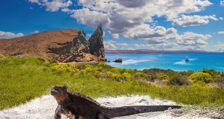 Paysage pittoresque avec un iguane marin et des falaises rocheuses au bord de la mer.
