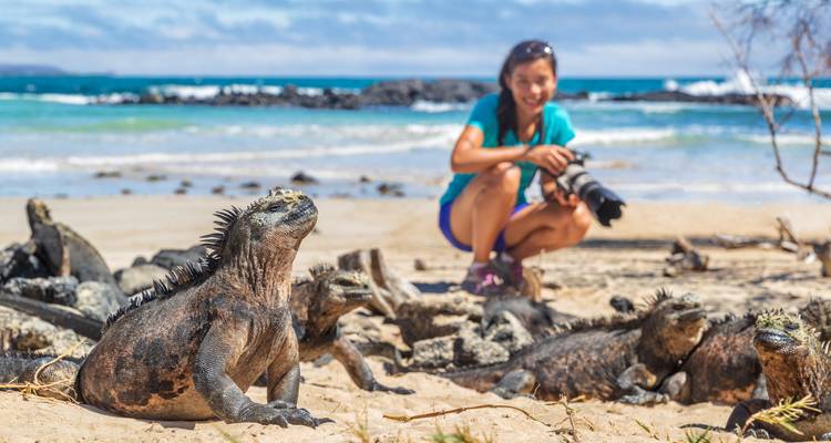 Geluxe: Islas Galápagos: La vida salvaje de Santa Cruz e Isabela - G Adventures 2