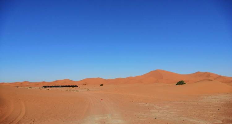 Vast desert landscape under a blue sky.
