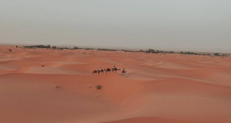 Explora el desierto de Merzouga: aventura de 3 días y 2 noches - Escorted Morocco Tours 8