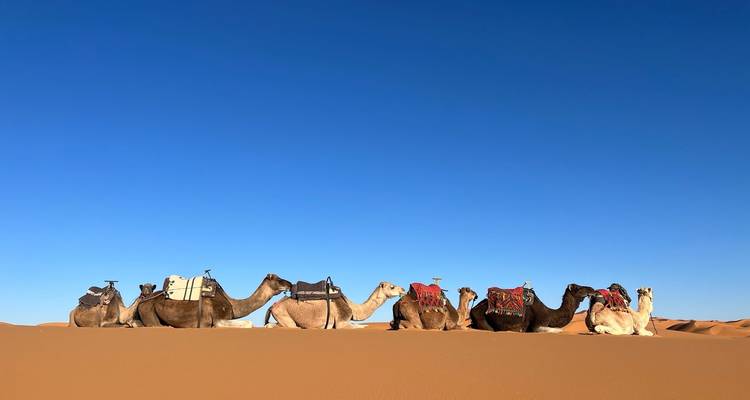 Excursión de 6 días por el desierto del Sáhara de Fez a Marrakech, Marruecos - Escorted Morocco Tours 4