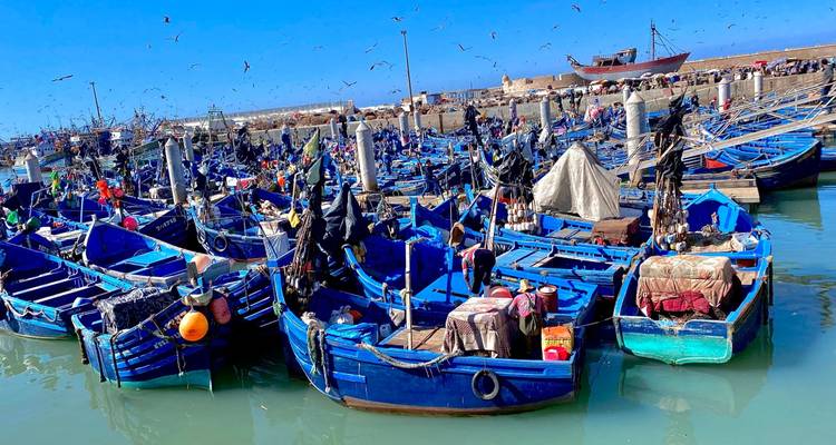 8 Days Desert - Coastal Guided Tour - From Fes to Casablanca - Escorted Morocco Tours 6
