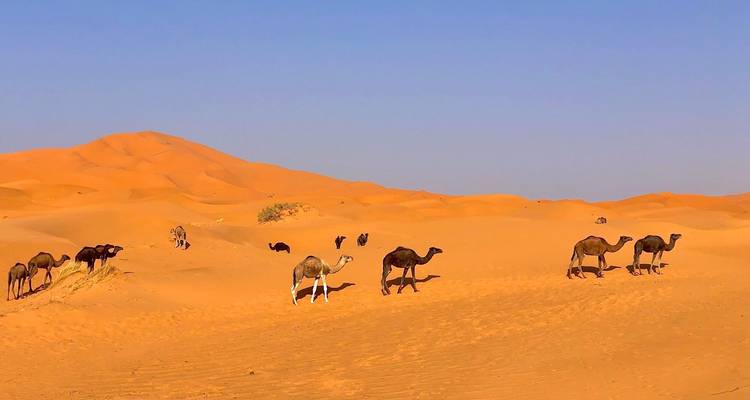 Circuit guidé idéal de 11 jours - de Casablanca à Marrakech - Escorted Morocco Tours 1