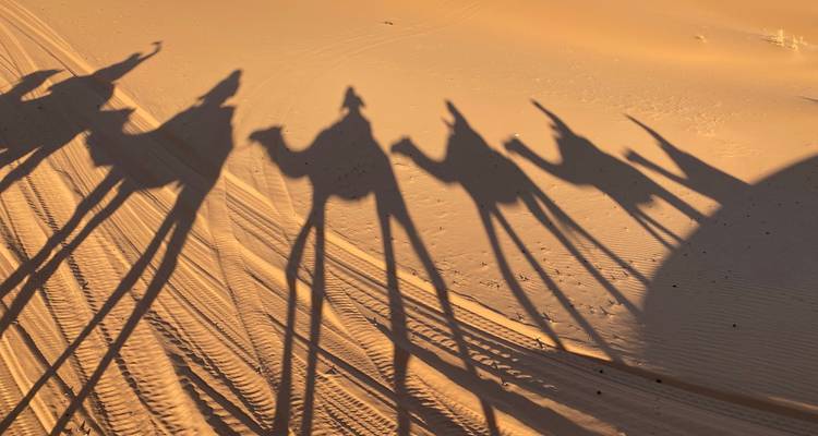 Circuit guidé idéal de 11 jours - de Casablanca à Marrakech - Escorted Morocco Tours 9