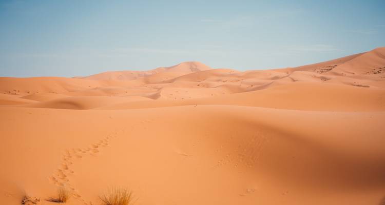 Uitgestrekt uitzicht op zandduinen onder een heldere blauwe lucht.