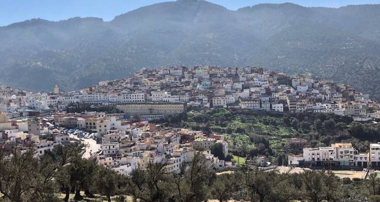 Uitzicht op een stad op een heuvel met een bergachtige achtergrond.