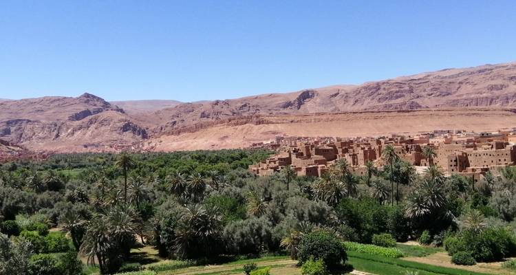 Groene oase dorp in een woestijnlandschap met palmbomen.