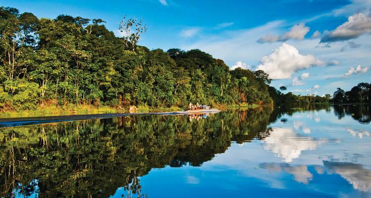 Boot, das einen Fluss in einem üppigen Dschungel entlangfährt.