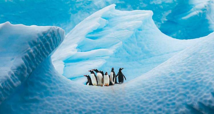 Antarctic Voyage Buenos Aires → Buenos Aires (2026) - APT 2
