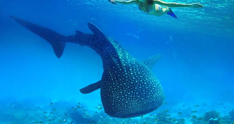 The Beauty of the Philippines 10 Days - Vio Travel 1
