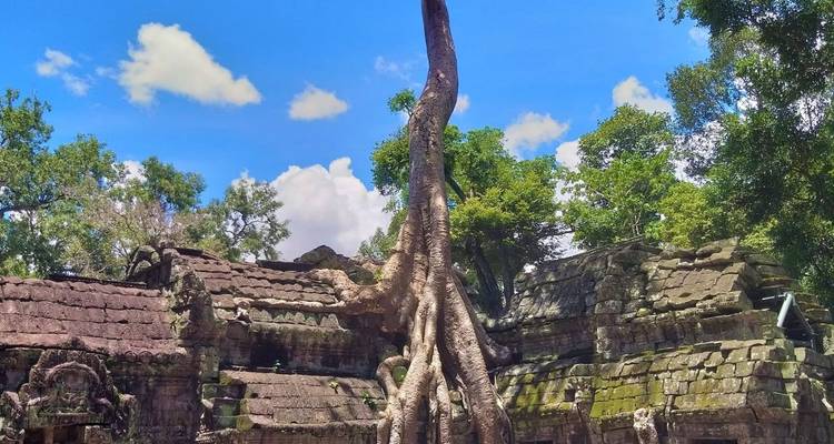 Lo más destacado de Camboya y Laos - Circuito privado de 7 días de Siem Reap a Luang Prabang - About Cambodia Travel & Tours 10