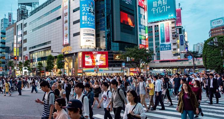8 Días de Emocionante Aventura Gastronómica en Japón (guía y conductor privados） - UME Travel Co. Ltd 4