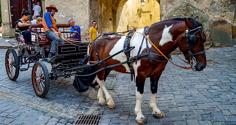Customized Romania Private Trip Around Carpathians, Daily Start - Agate Travel 4