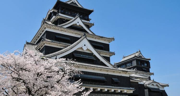 13 Days  Iconic Japan Tour  (private guide & driver）Customizable - UME Travel Co. Ltd 9
