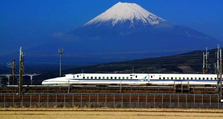 13 jours d'excursion au Japon (guide et chauffeur privés）Customizable - UME Travel Co. Ltd 5