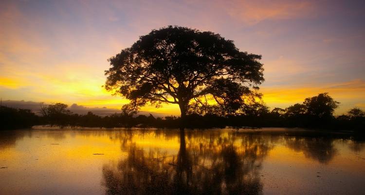 12 jours en Bolivie, randonnée dans les Andes et expédition en Amazonie - Responsible Travel South America 3