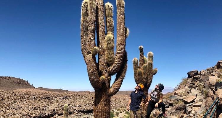 Viaje de 13 días por las maravillas de Chile y Bolivia - Responsible Travel South America 4