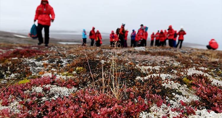 Arctic Odyssey Under a Solar Eclipse - Poseidon Expeditions 8