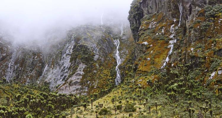The Ruwenzoris - Into The mystical Moon Mountains - DIAMIR Erlebnisreisen 5