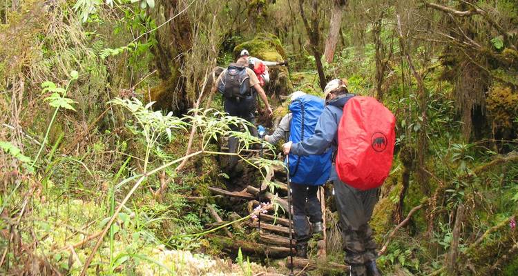 The Ruwenzoris - Into The mystical Moon Mountains - DIAMIR Erlebnisreisen 2