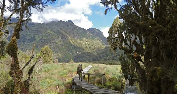 The Ruwenzoris - Into The mystical Moon Mountains - DIAMIR Erlebnisreisen 3