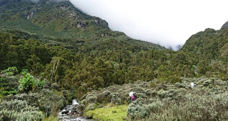 The Ruwenzoris - Into The mystical Moon Mountains - DIAMIR Erlebnisreisen 4