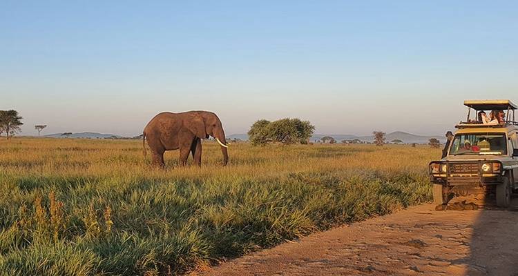 Safari de 12 días por la naturaleza en Tanzania - Hazzes Adventure 2