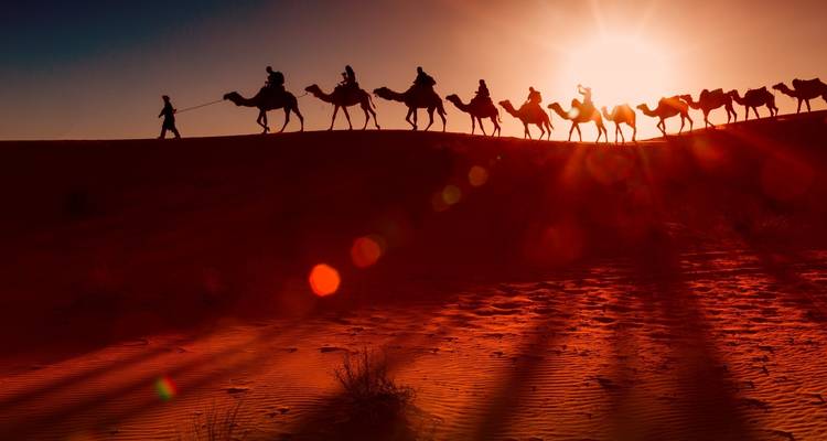 Excursion dans le désert - de Fès à Marrakech - 4 jours - Discover Morocco Tours 2