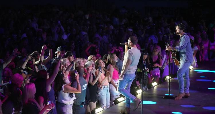 Des musiciens se produisant devant une foule en liesse sous un éclairage artificiel.