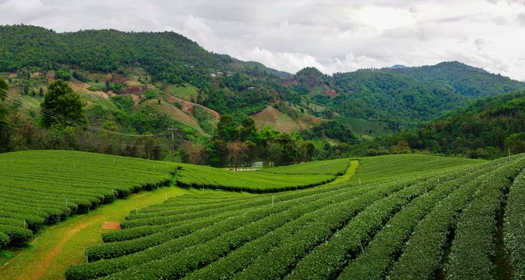 La merveilleuse Thaïlande en 10 jours - Circuit privé - Vietnam Tour Fun 1